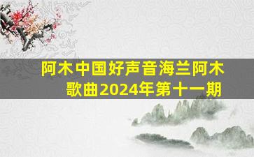 阿木中国好声音海兰阿木歌曲2024年第十一期