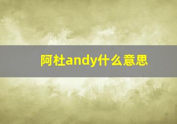 阿杜andy什么意思