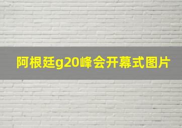 阿根廷g20峰会开幕式图片