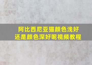 阿比西尼亚猫颜色浅好还是颜色深好呢视频教程