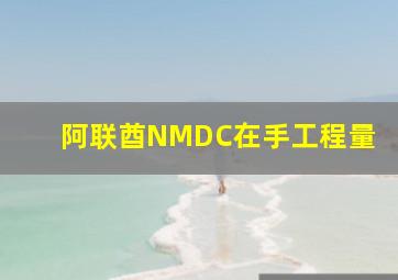 阿联酋NMDC在手工程量