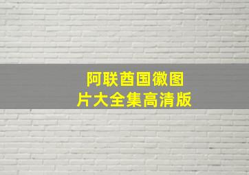 阿联酋国徽图片大全集高清版