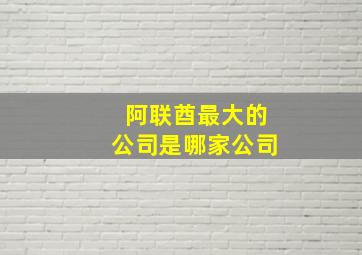 阿联酋最大的公司是哪家公司