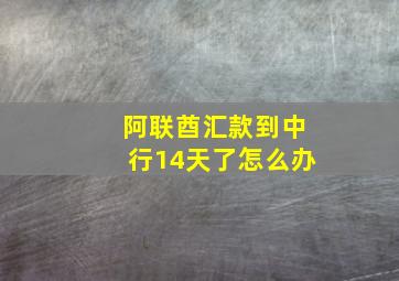 阿联酋汇款到中行14天了怎么办