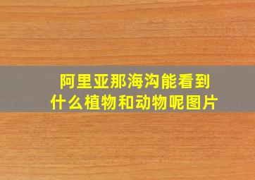 阿里亚那海沟能看到什么植物和动物呢图片