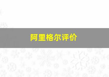 阿里格尔评价