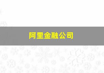 阿里金融公司