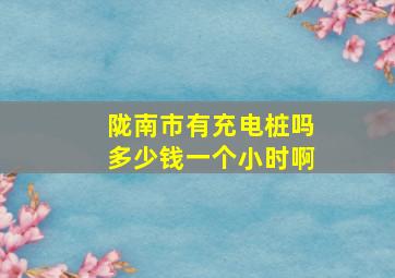 陇南市有充电桩吗多少钱一个小时啊