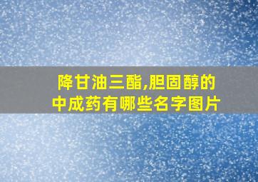 降甘油三酯,胆固醇的中成药有哪些名字图片