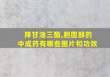 降甘油三酯,胆固醇的中成药有哪些图片和功效