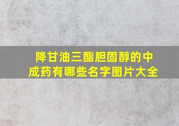 降甘油三酯胆固醇的中成药有哪些名字图片大全