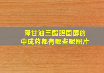 降甘油三酯胆固醇的中成药都有哪些呢图片