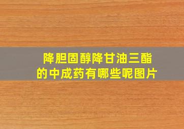 降胆固醇降甘油三酯的中成药有哪些呢图片