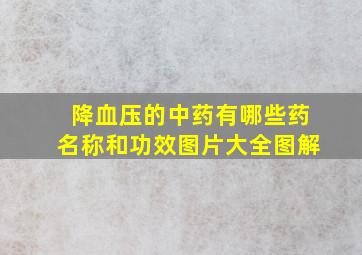 降血压的中药有哪些药名称和功效图片大全图解