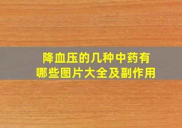 降血压的几种中药有哪些图片大全及副作用