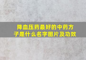 降血压药最好的中药方子是什么名字图片及功效