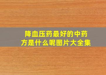 降血压药最好的中药方是什么呢图片大全集