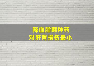 降血脂哪种药对肝肾损伤最小