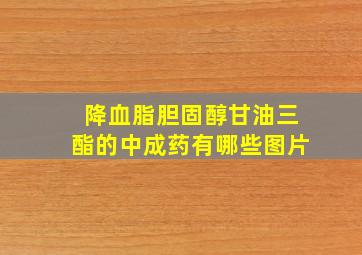 降血脂胆固醇甘油三酯的中成药有哪些图片