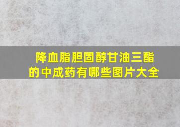 降血脂胆固醇甘油三酯的中成药有哪些图片大全