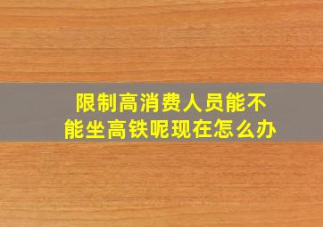 限制高消费人员能不能坐高铁呢现在怎么办