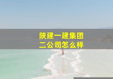 陕建一建集团二公司怎么样