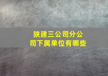 陕建三公司分公司下属单位有哪些