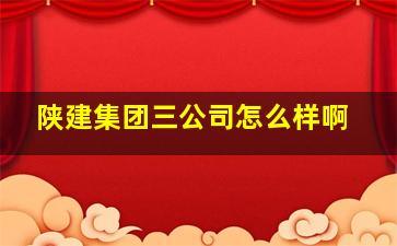 陕建集团三公司怎么样啊