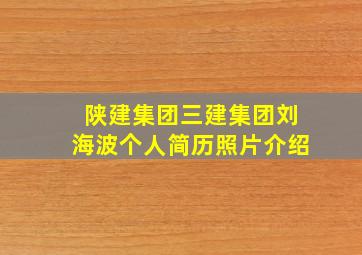 陕建集团三建集团刘海波个人简历照片介绍