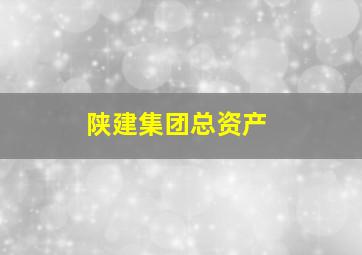 陕建集团总资产