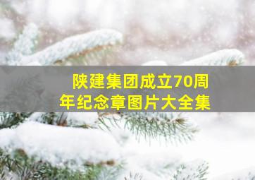 陕建集团成立70周年纪念章图片大全集