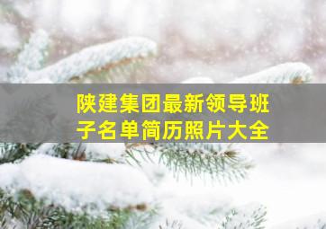 陕建集团最新领导班子名单简历照片大全