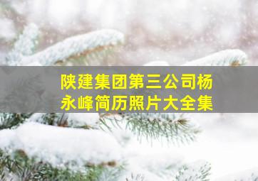 陕建集团第三公司杨永峰简历照片大全集