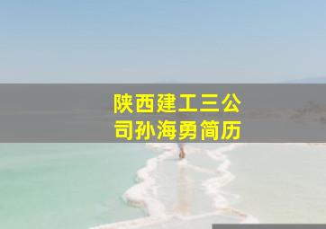 陕西建工三公司孙海勇简历