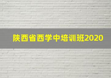 陕西省西学中培训班2020