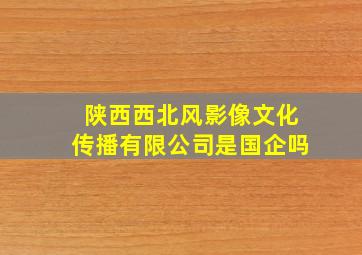 陕西西北风影像文化传播有限公司是国企吗