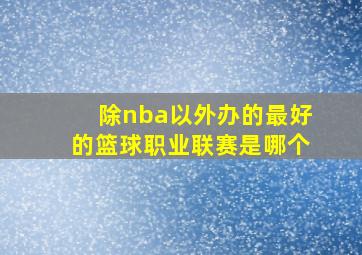 除nba以外办的最好的篮球职业联赛是哪个