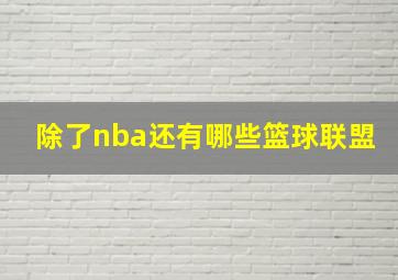 除了nba还有哪些篮球联盟