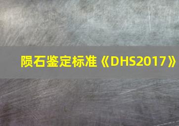 陨石鉴定标准《DHS2017》