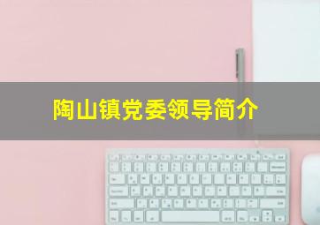 陶山镇党委领导简介