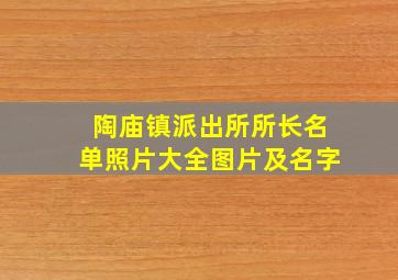 陶庙镇派出所所长名单照片大全图片及名字