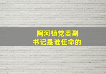 陶河镇党委副书记是谁任命的