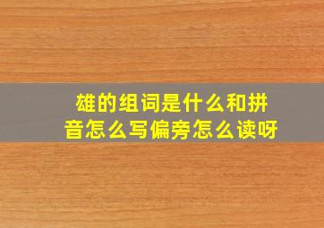 雄的组词是什么和拼音怎么写偏旁怎么读呀