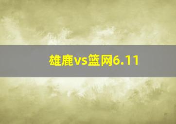 雄鹿vs篮网6.11