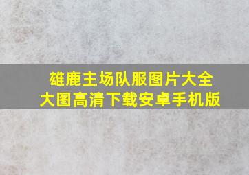 雄鹿主场队服图片大全大图高清下载安卓手机版