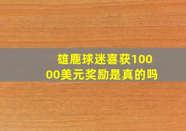 雄鹿球迷喜获10000美元奖励是真的吗