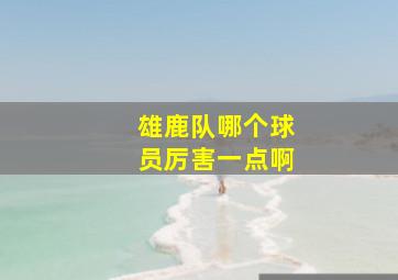 雄鹿队哪个球员厉害一点啊