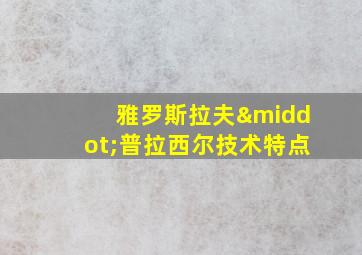 雅罗斯拉夫·普拉西尔技术特点