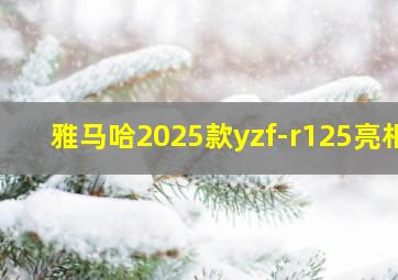 雅马哈2025款yzf-r125亮相