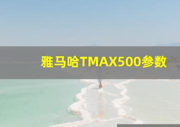 雅马哈TMAX500参数